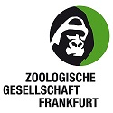 Logo ZGF klein